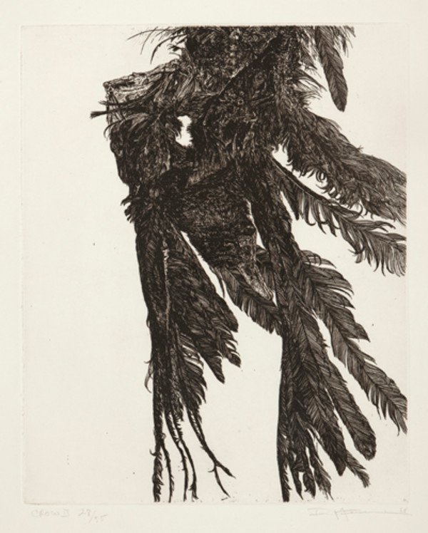 Crow II by Paul Fournier, Image 1.
