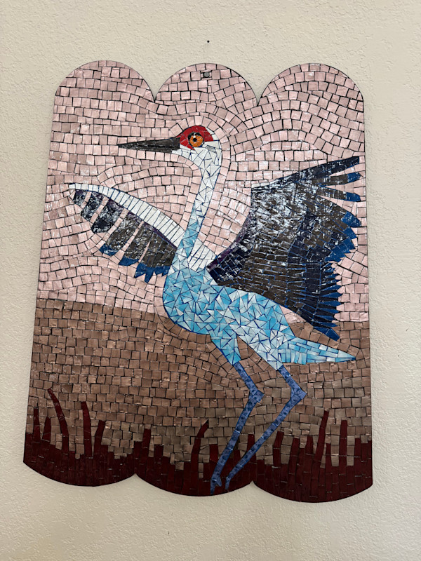 Sandhill Crane by Dina Afek, Image 1.