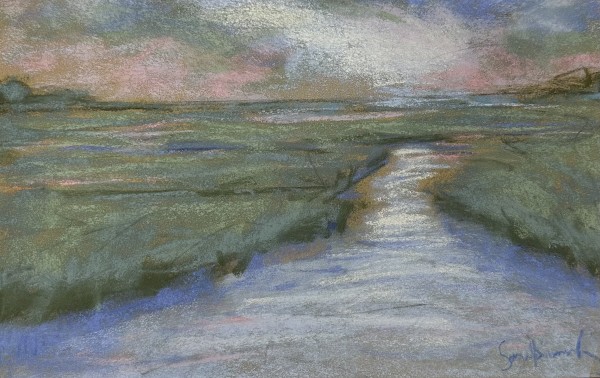 pastel marsh by Sonya Diimmler