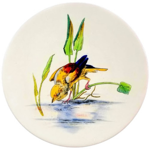 Danish Birds by E. F. Bodley & Son