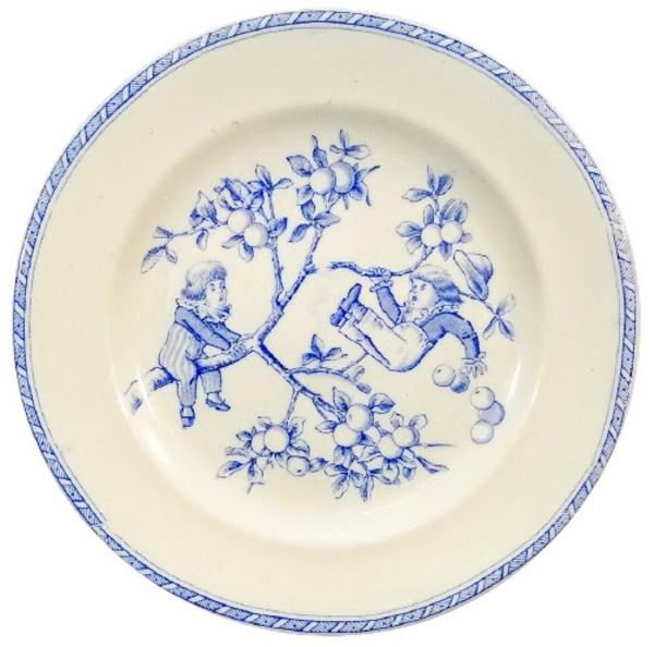 Daffodil by W. H. Grindley & Co.