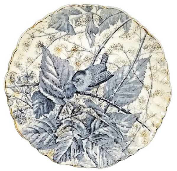 Wren by F. Winkle & Co.