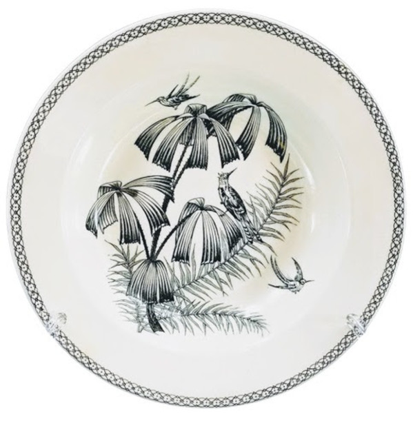 Fan Palm by Thomas Till & Sons
