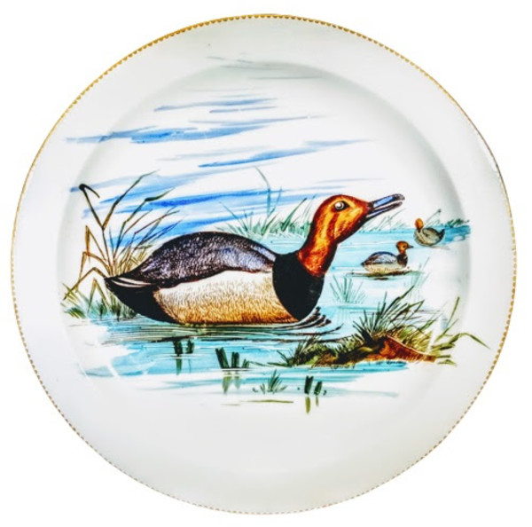 Unnamed (English Birds - Duck) by E. J. D. Bodley, E. F. Bodley & Co., E. F. Bodley & Son