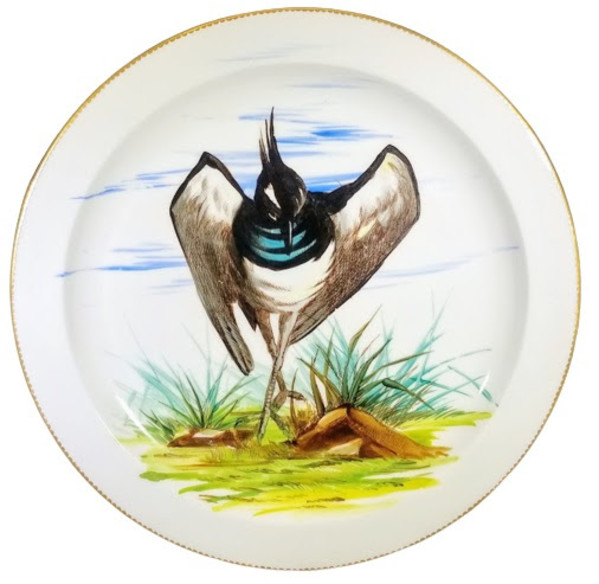 Unnamed (English Birds - Lapwing) by E. J. D. Bodley, E. F. Bodley & Co., E. F. Bodley & Son