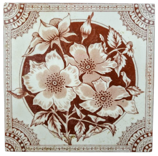 Unnamed (Dog Roses) by Unknown Maker