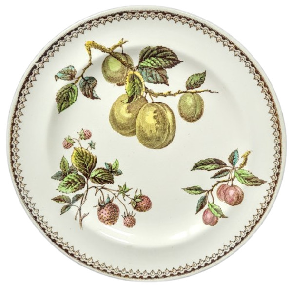 Fruit by Burgess & Leigh