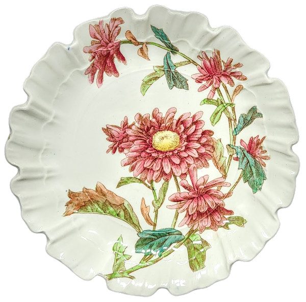 Unnamed (Chrysanthemums) by Brown-Westhead, Moore & Co.