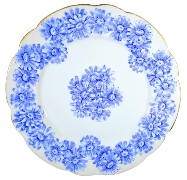 W1814 (Daisies) by Worcester Royal Porcelain Co.