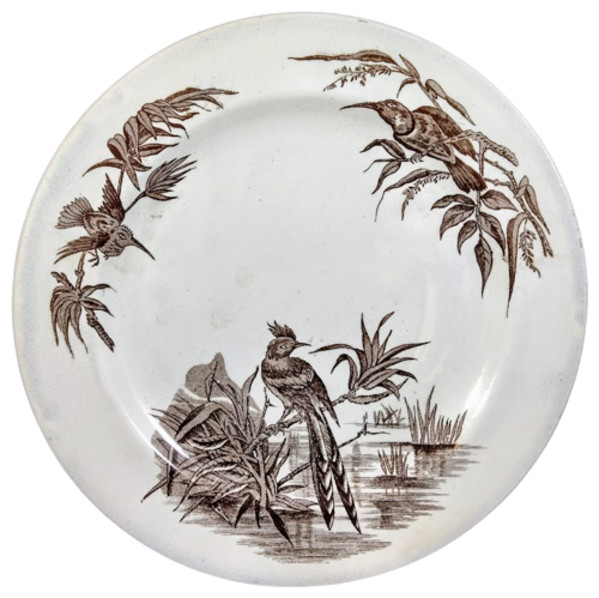 Cyprus by H. & Co.