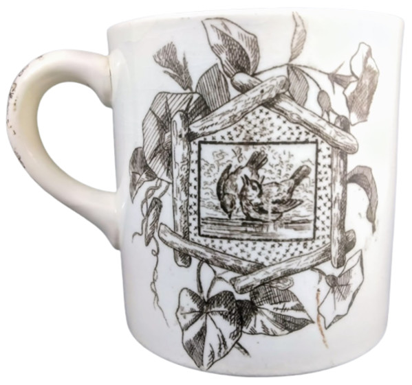 Albany by Thomas Furnival & Sons