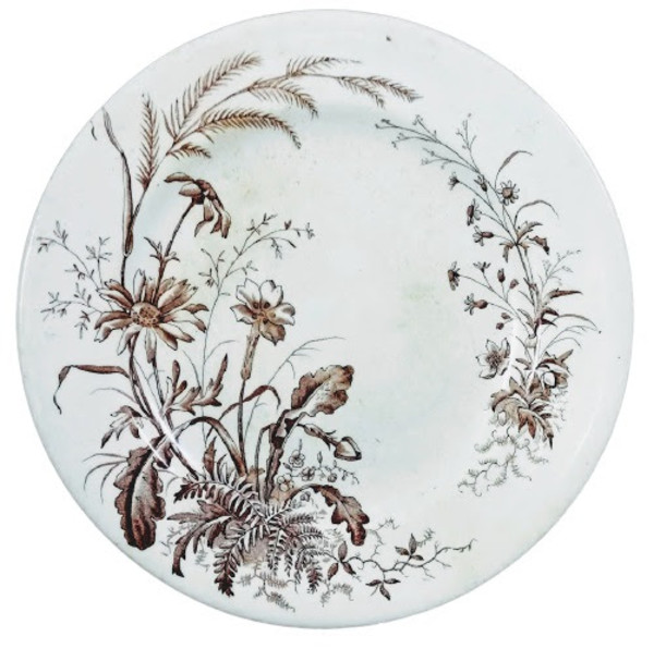 Spring Flowers by Whittaker & Co.
