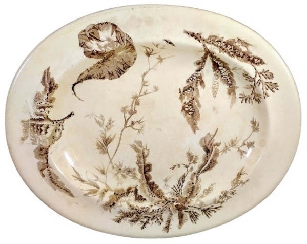 Unnamed (Seaweed) by Josiah Wedgwood