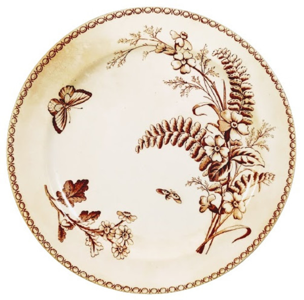 Newport by J. Dimmock & Co. (W. D. Cliff)