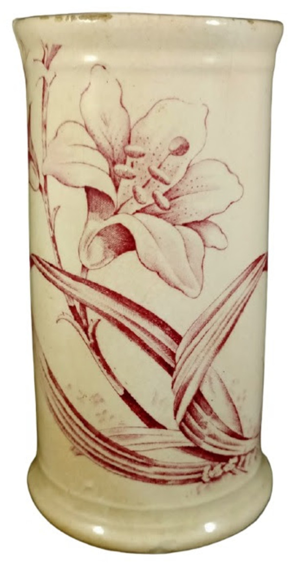 Lily by J. H. & S.