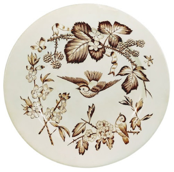 Lucerne by Moore & Co.