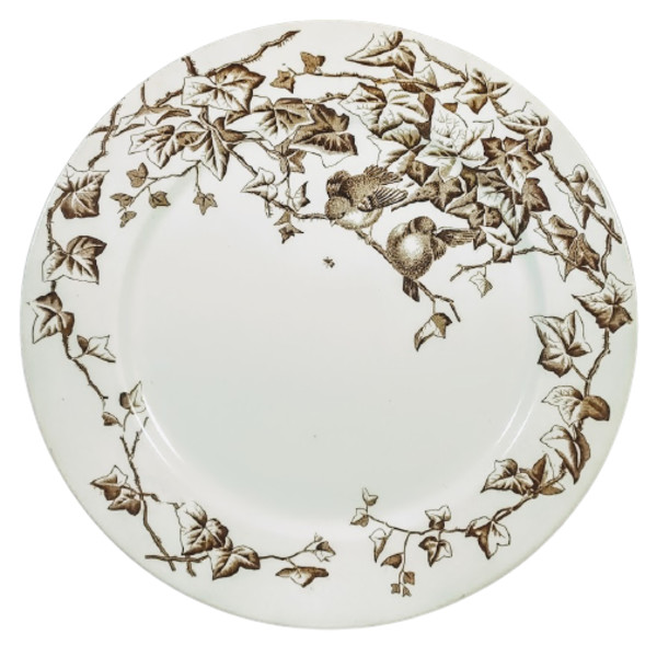 Ivy Bower by George Jones & Sons