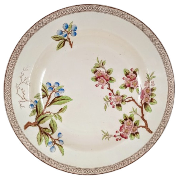 Unnamed (Fruits & Flowers) by Thomas Furnival & Sons