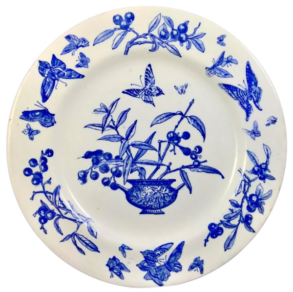 Privet by Baker & Co.