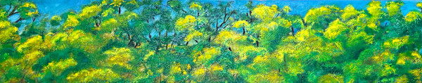 Forest Skyline by Kit Hoisington