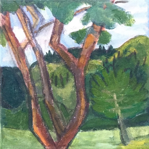 Through the Trees by Jill Randall