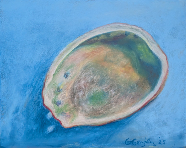 Abalone by Cyndi Gonzalez