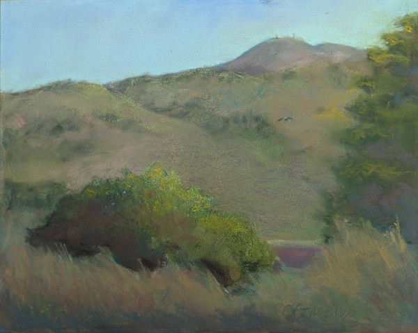Alexander Valley by Cynthia Gonzalez