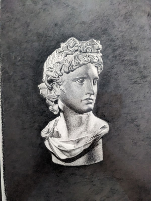 Apollo Belvedere by Cyndi Gonzalez