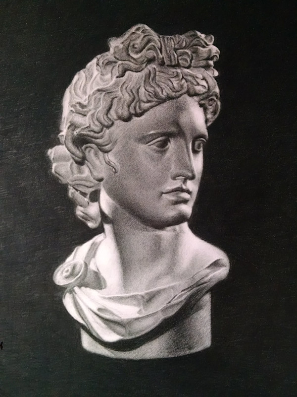 Apollo Belvedere by Cynthia Gonzalez, Image 3.