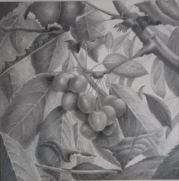 Cherries by Cyndi Gonzalez