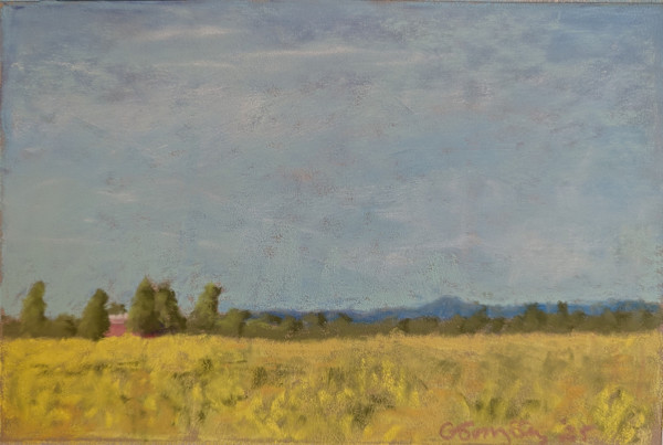Mustard Fields by Cynthia Gonzalez