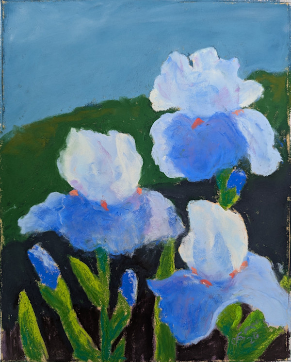 True Patriot Irises by Cynthia Gonzalez, Image 1.