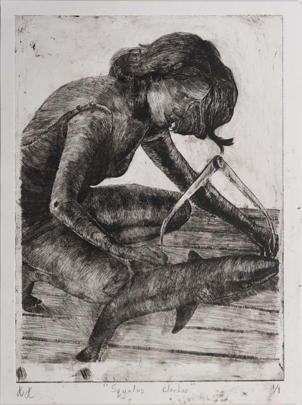 "Squalus clarkae" by Kelly Kullman