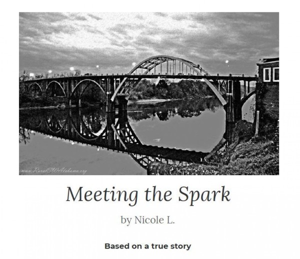 Meeting the Spark by Nicole Link