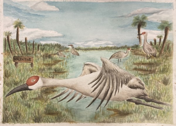 Jacob Valentine's Cranes by Katie Kovalchick