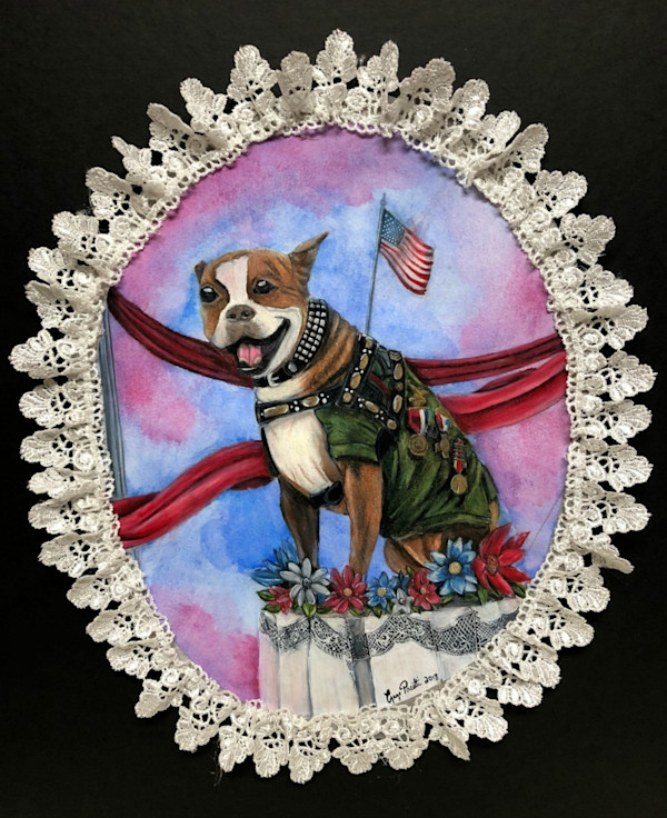 Sergeant Stubby: The Most Decorated War Dog by Gage Pacetti