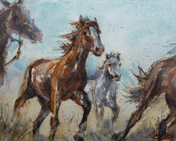 Horse Stampede #1 by Susan Drey