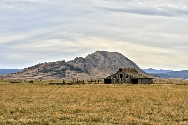 9 Mile Road by Bob Wilson