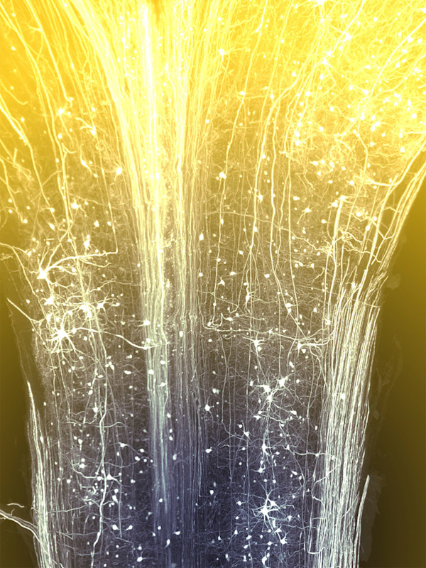 Out of the Void (Part 2) by Gina Gibson