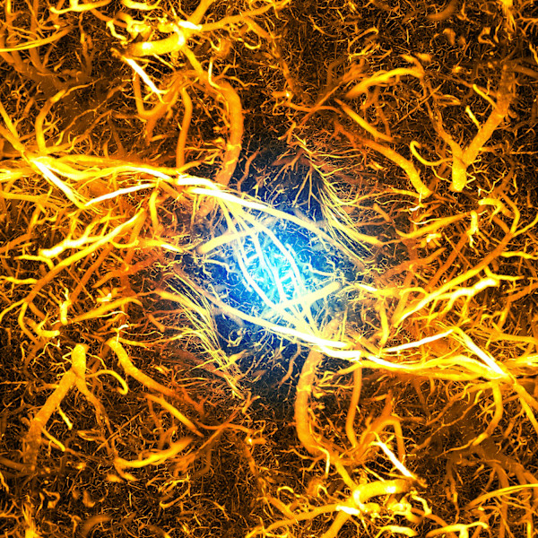 Origin by Gina Gibson