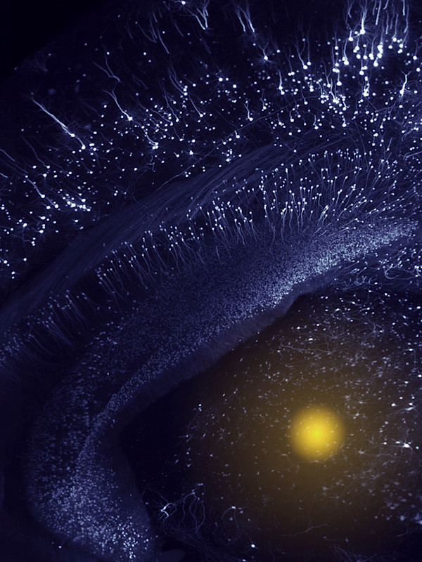 Out of the Void (Part 1) by Gina Gibson