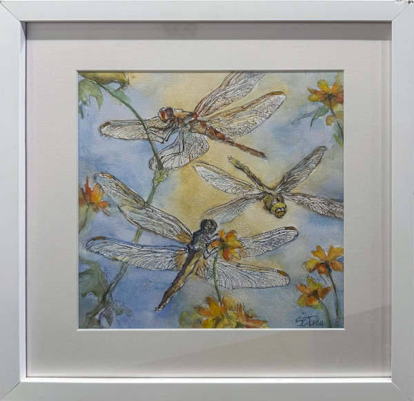 Dragonfly Dreams by Susan Drey