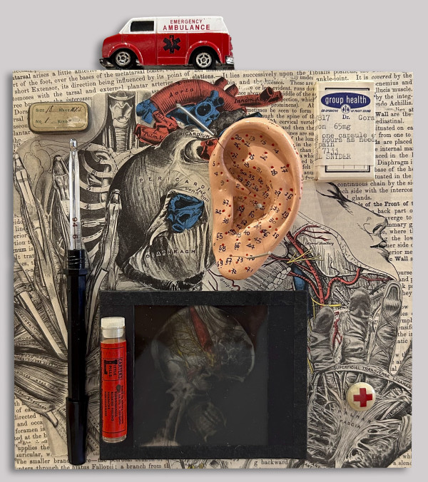 Medica Detritus by Carol Lee Hilgemann