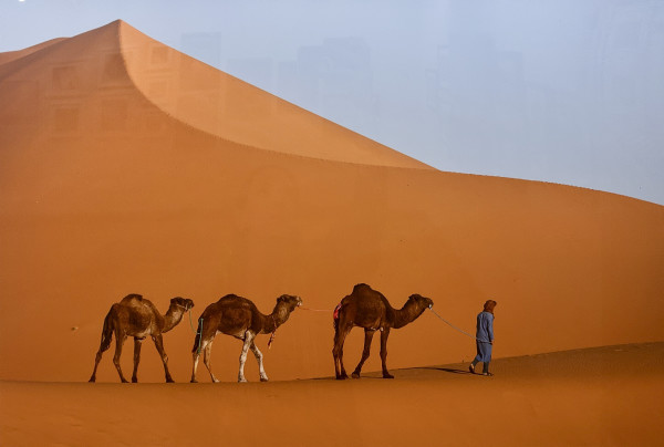 Sahara Dune by Bob Wilson