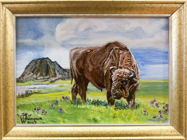 Bear Butte Bison by Kat Thompson