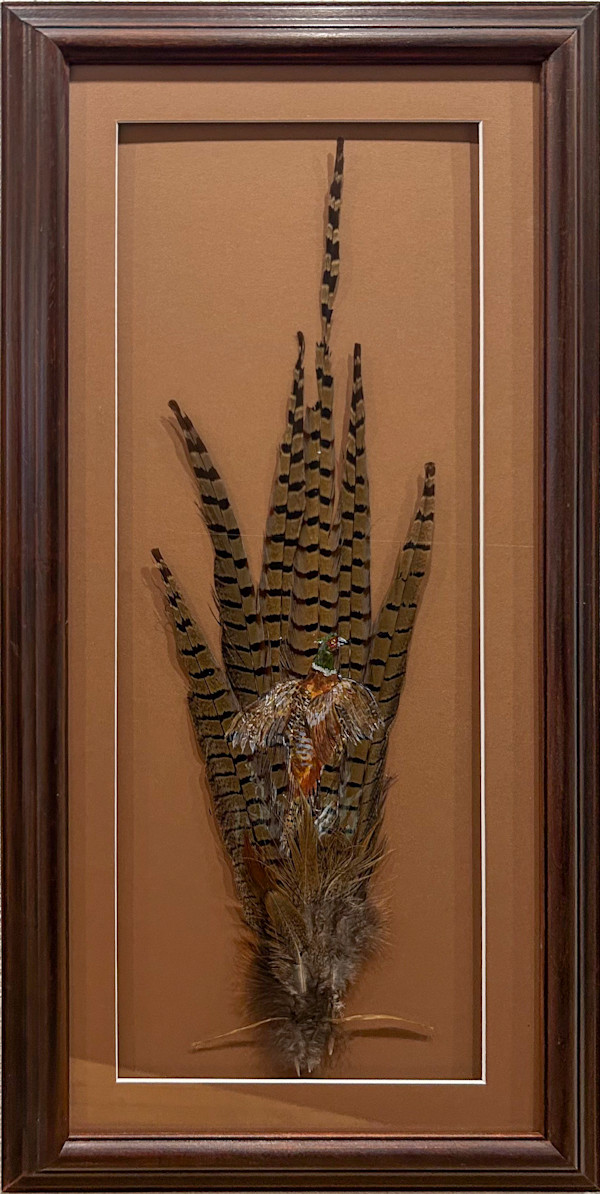 A Pheasants Tail by Diane Myers