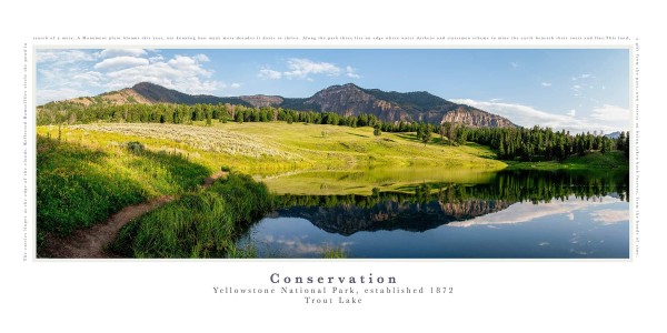 Conservation: Trout Lake -Yellowstone National Park by Christine Garceau