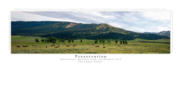 Preservation: The Lamar Valley - Yellowstone National Park by Christine Garceau