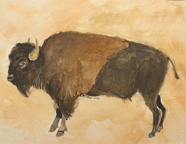 Buffalo by Rosa Link
