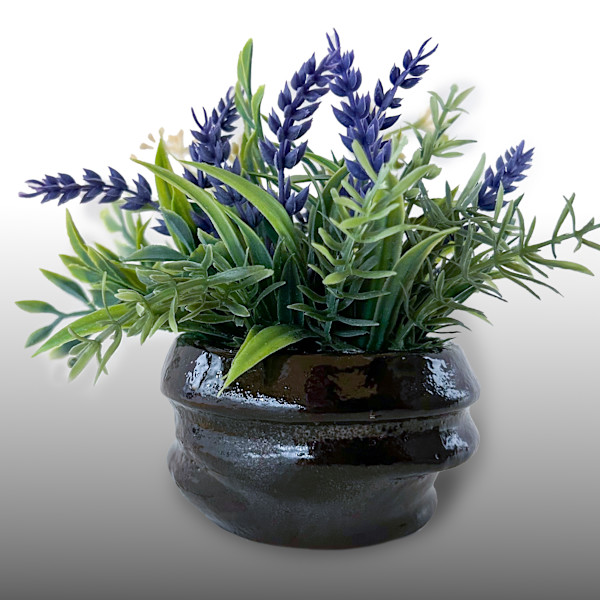 Mom's Planter by Oli Heidenreich